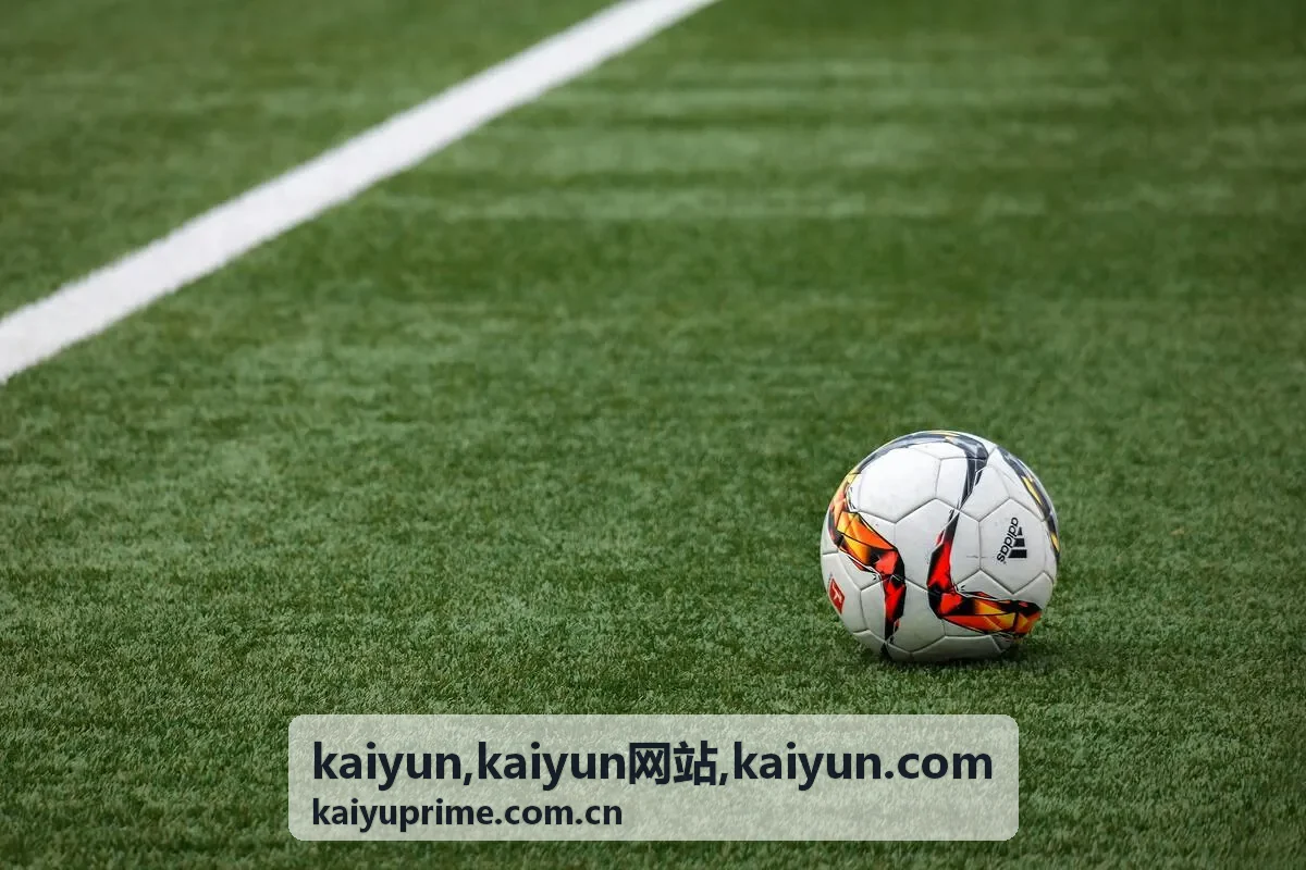 kaiyun网站首页企业信息展示场景